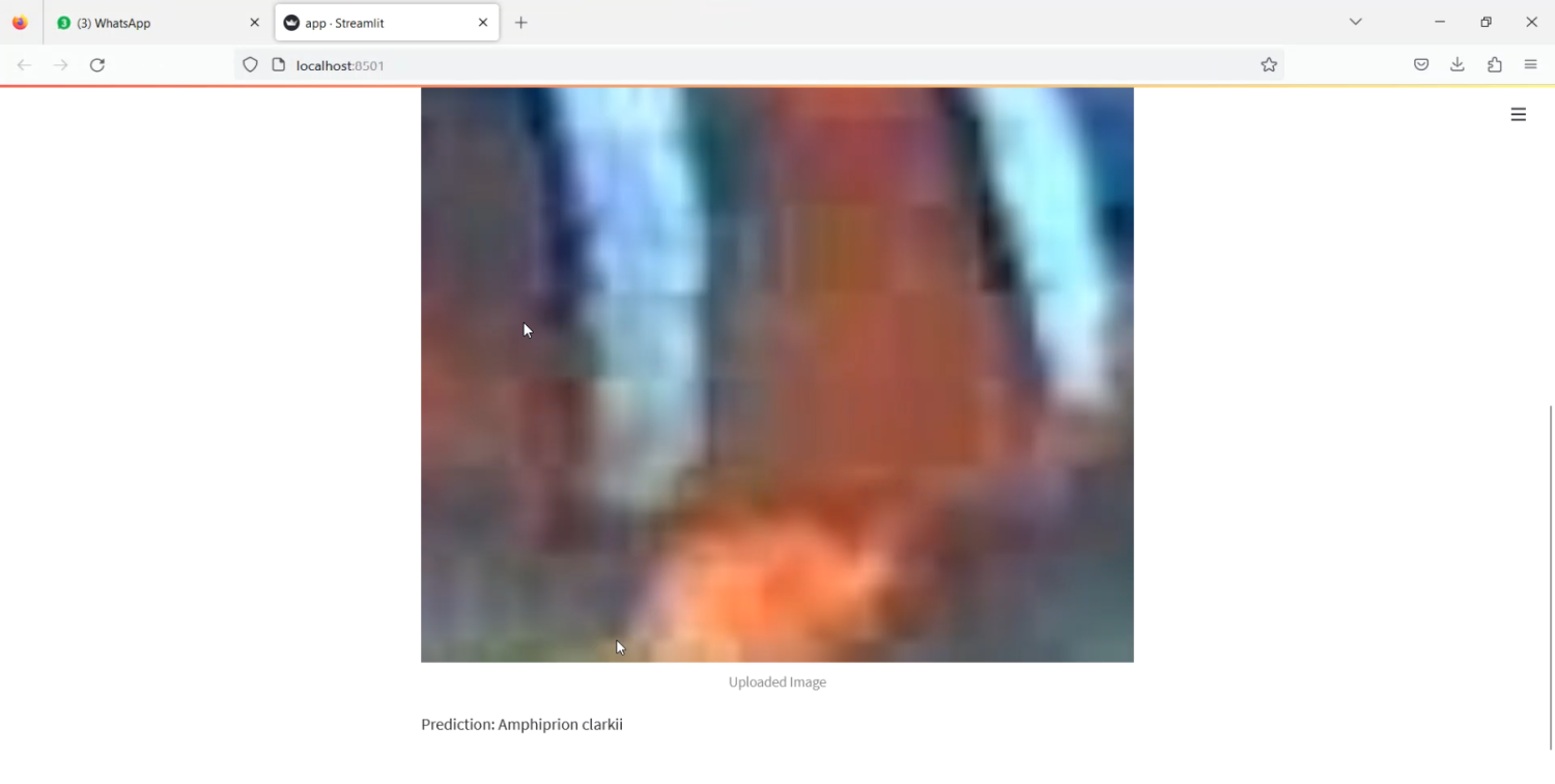 Fish Detection Train CNN Streamlit App in Python Projects