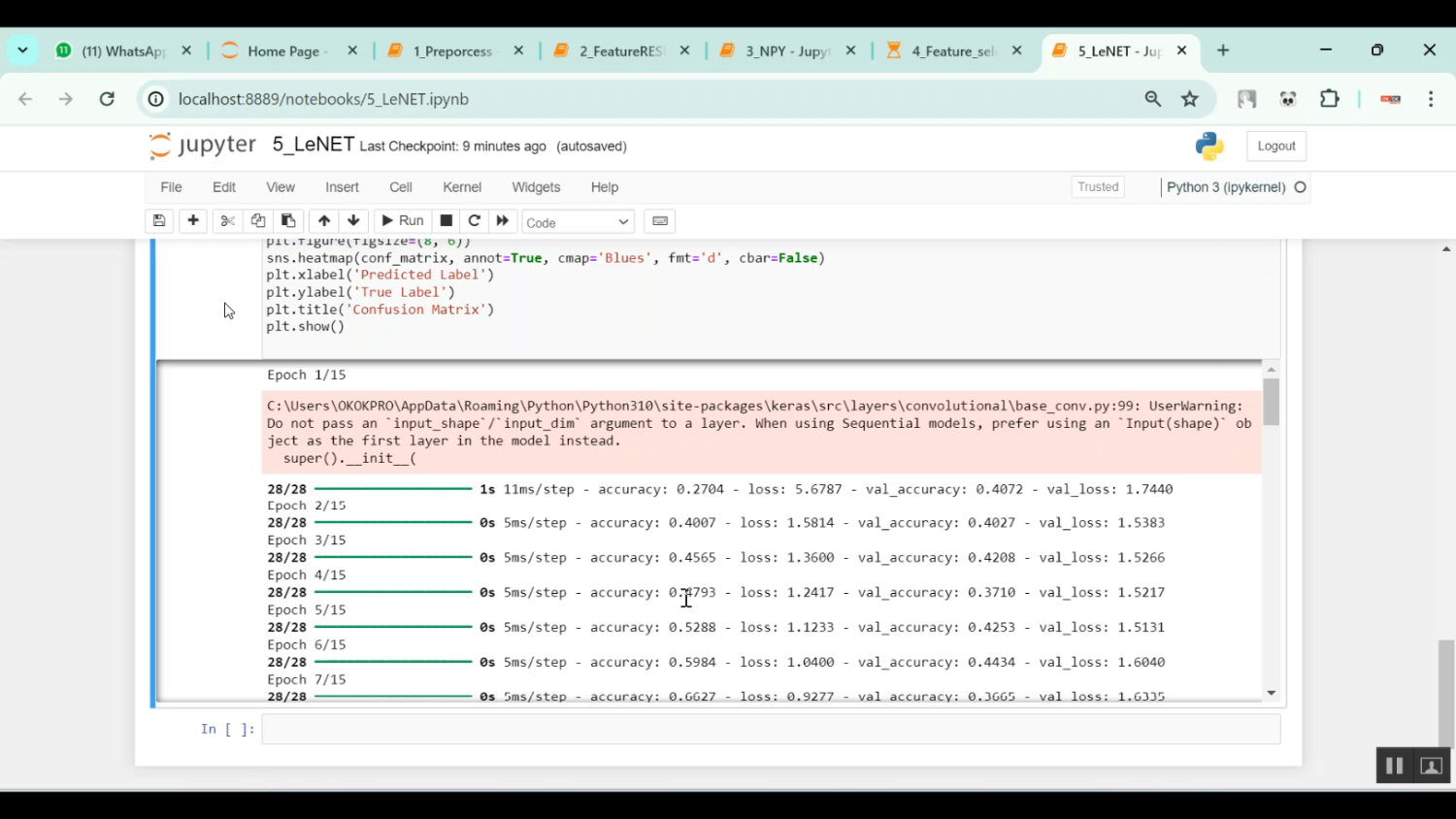 Alzheimer Feature Selection PSO in Python Projects
