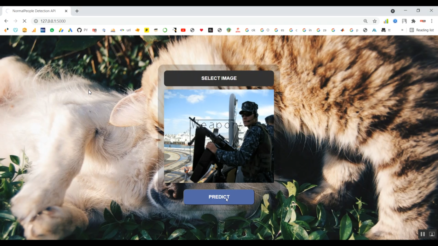 Violated non Violated CNN Flask in Python Projects