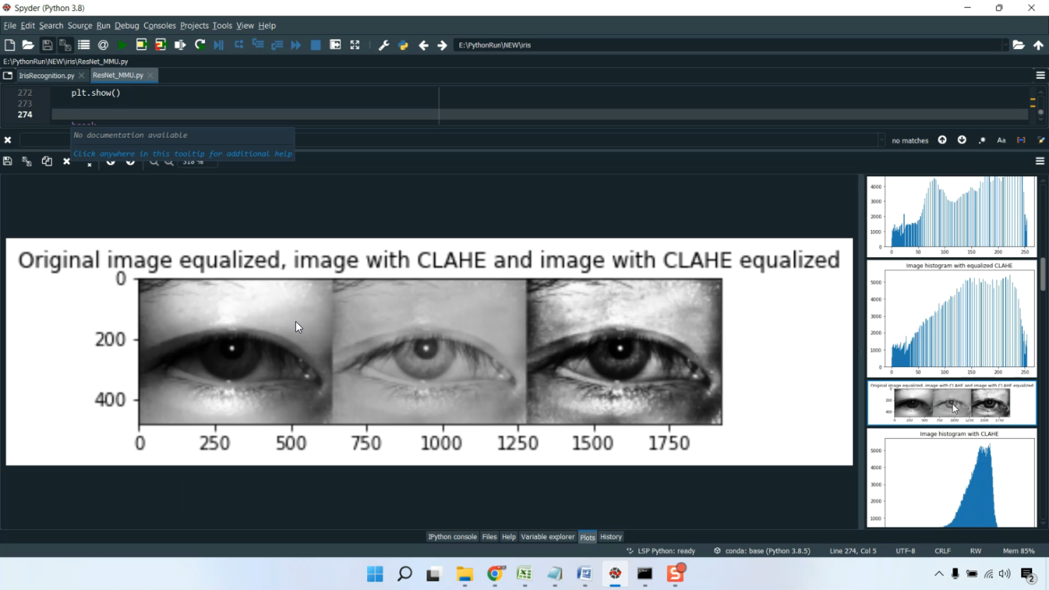 IRIS Motion Blur Normalization in Python Projects