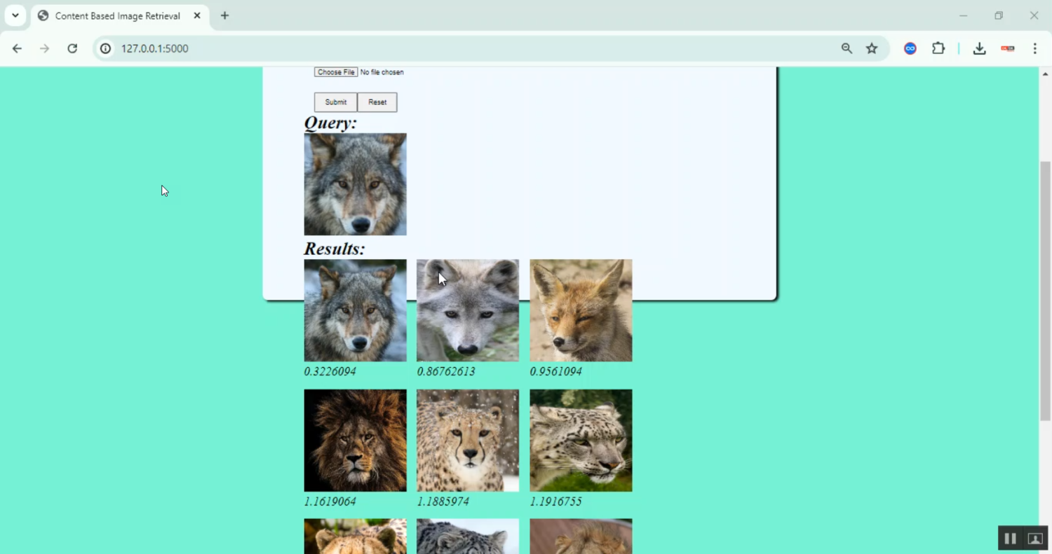 Content Based Image Retrieval in Python Projects