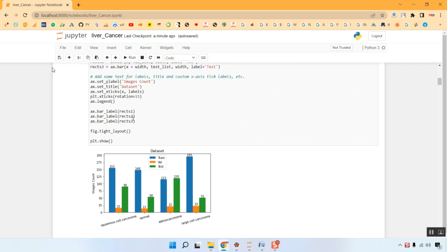 Liver Cancer Classification Train in Python Projects