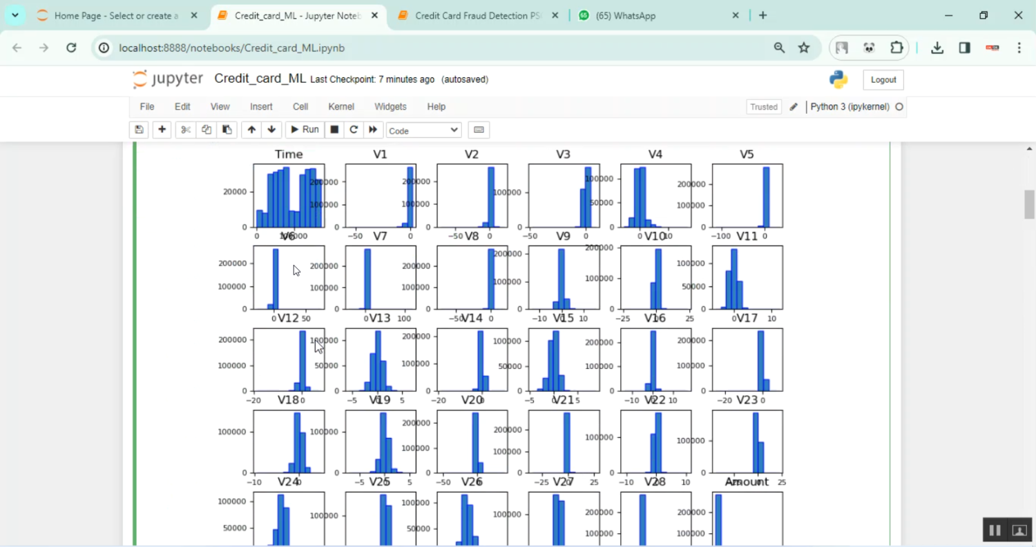 Credit Card Fraud Detection PSO in Python Projects