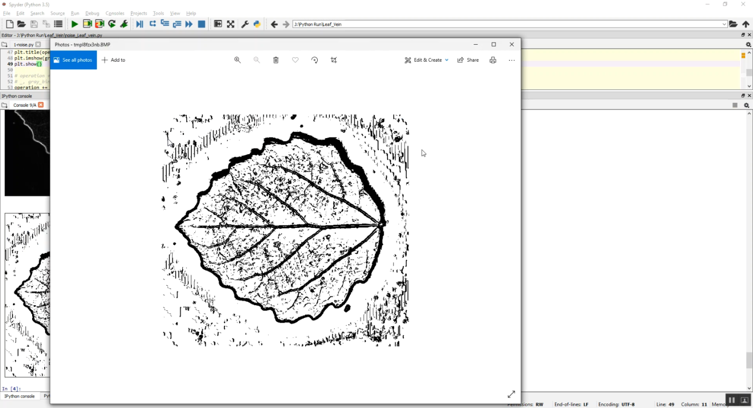 Leaf Vein Image Classification in Python Projects