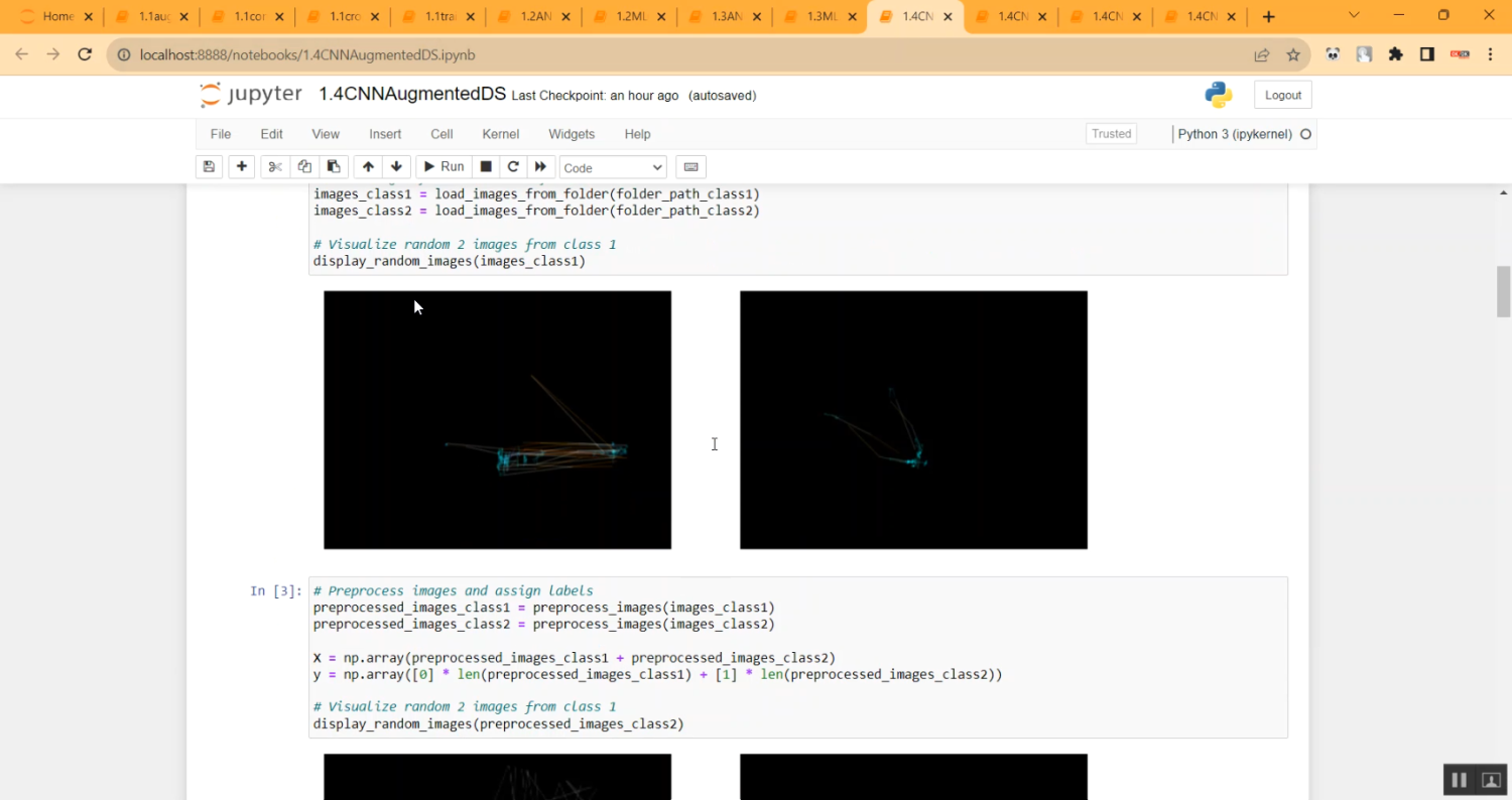 Autism Eye Data Analysis Jupyter in Python Projects