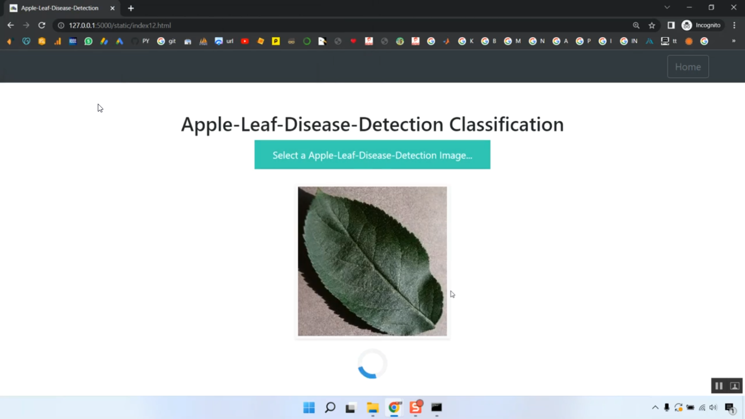 Plant Leaf Disease Apple Train Model Flask App in Python Projects