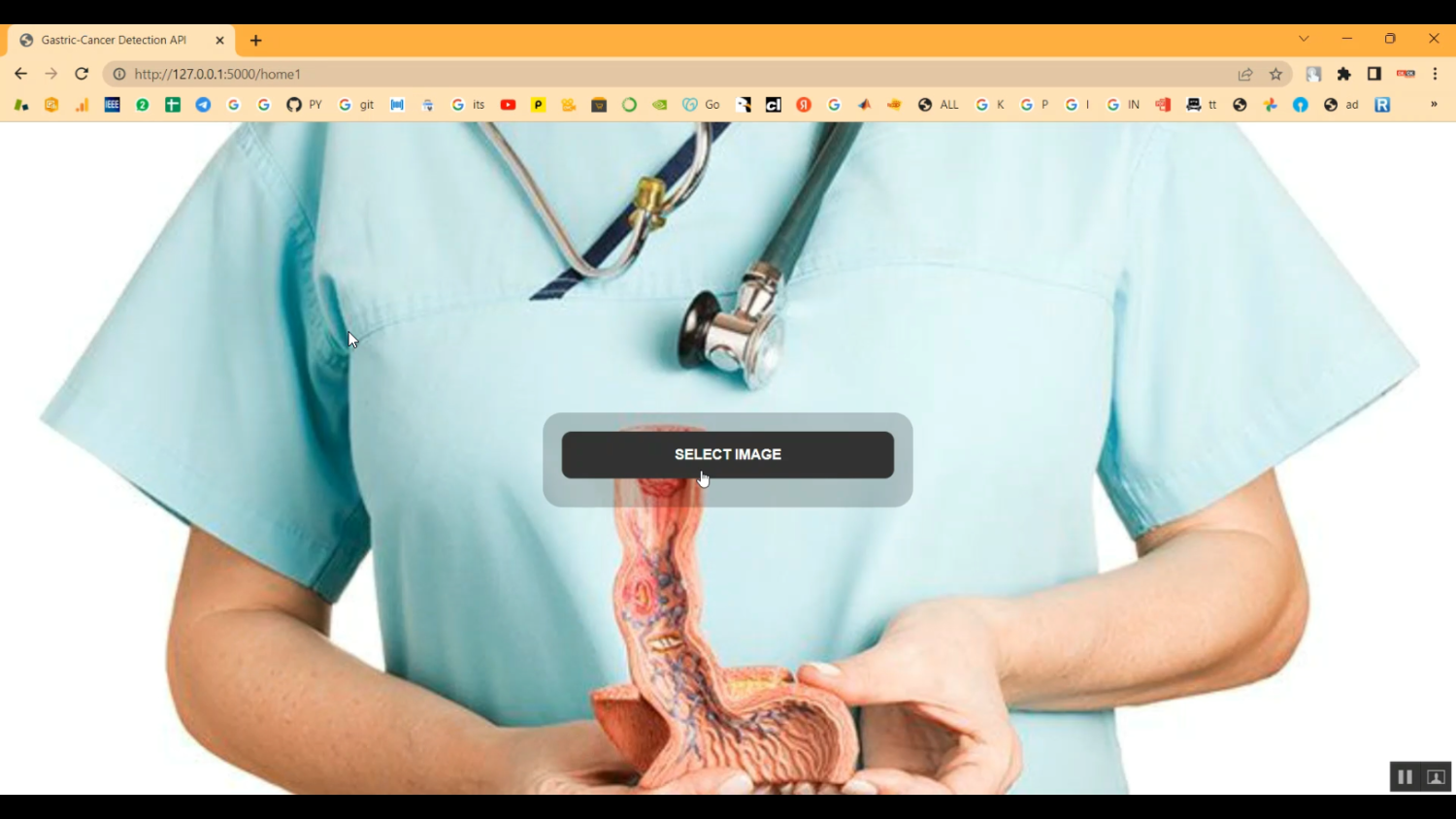 EHR With Disease Prediction in Python Projects