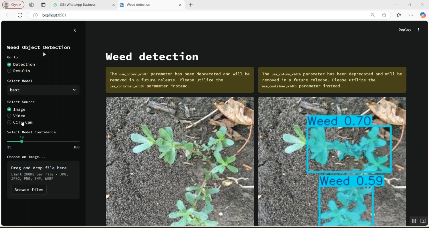 Weed Detection in Python Projects