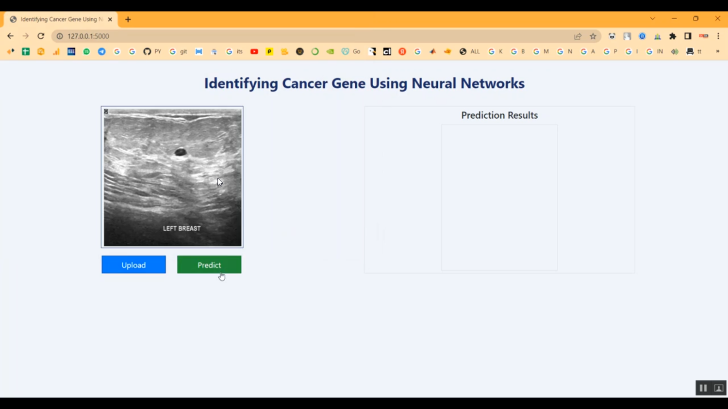 Gene Based Classification CNN Flask App in Python Projects