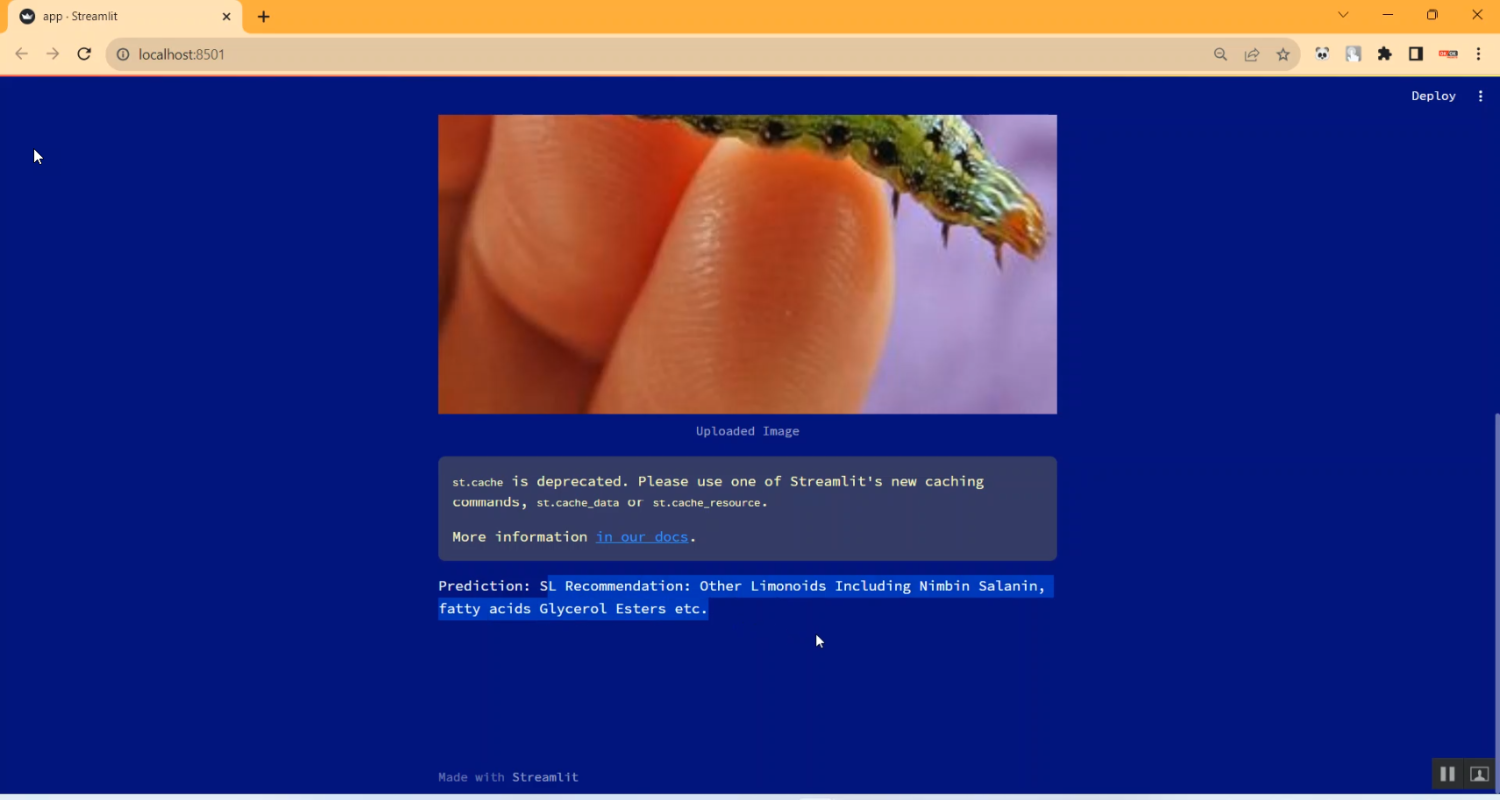 Pets Detection Using CNN with Recommendation for Farmer in Python Projects
