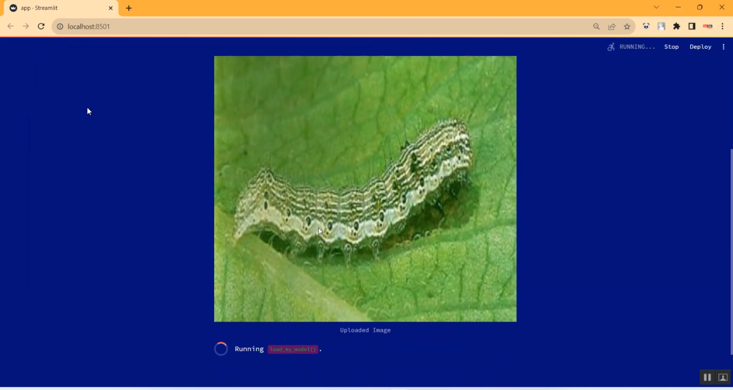 Pest Detection Using CNN Streamlit App in Python Projects