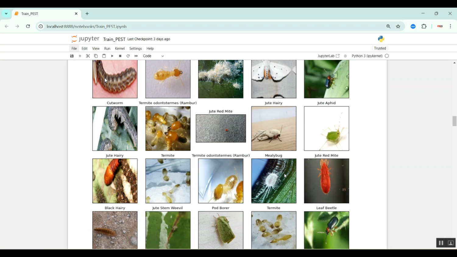 Past Detection CNN GB in Python Projects