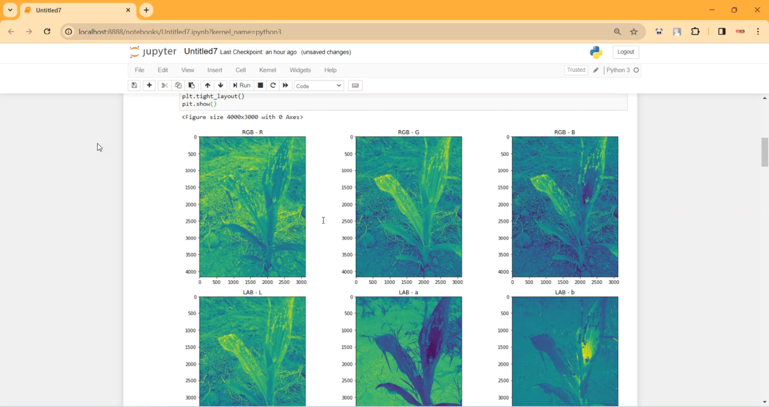Corn Plant Leaf Diease Classification in Python Projects